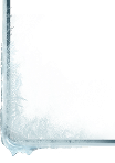 Section Divider